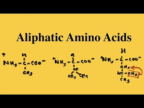 How to remember the Aliphatic Amino Acids? | MCAT Biochemistry