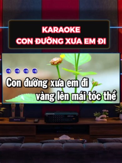 Karaoke Con Đường Xưa Em Đi - Trút Tình Bolero Hay Nhất