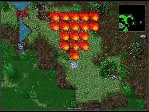 Tibia - Bestiary - Forest Fury + Elder Forest Fury