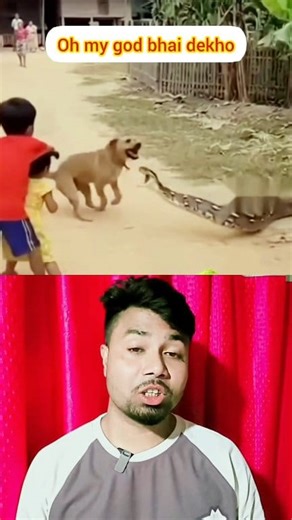 dekho bacchon ko saamp kaatne a raha hai12121 #facebookviral #reelsvideoシ #thankyou #vairalpost #tiktok #Makeup #sorotan #vairalvideo #reelsviralシfb #model | Badsha Khan Block