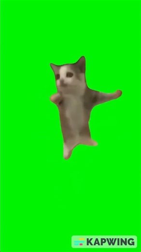 Happy Happy Happy Cat Dancing Green Screen Video Meme Template V18