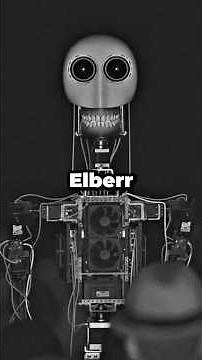 Everything You Need To Know About ELBERR