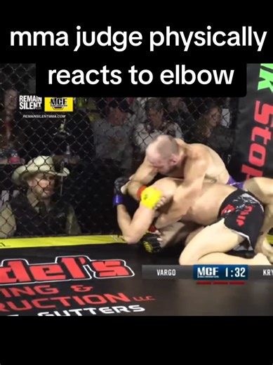 judge acting like he's never seen an mma fight before #combatsports #mma #groundandpound #fightnight #ufc