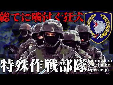 [Slow-Paced Unit Explanation] The Most Fierce Elite Unit in the Balkan Peninsula: Serbian Special...