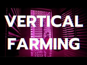 Growing Up: Is Vertical Farming the Future of food?