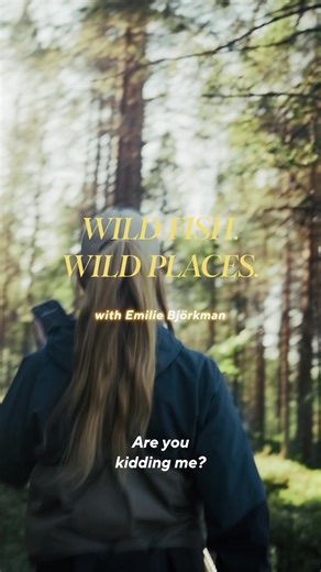 Hunting Giant Migratory Trout in Sweden