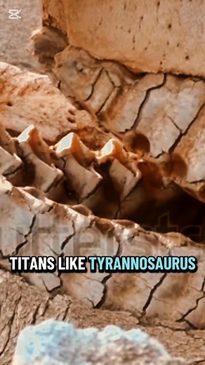 This short dives into extinct titans bite force and compares ancient...