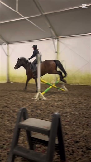 Wczoraj na Perfie😁❤️‍🔥 #horse #equestrian #music DAj SUBA 😏🤫