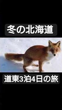 冬の北海道 道東3泊4日の旅【ダイジェスト】