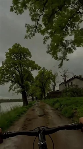 Fajardo (@fajardo7202)’s videos with sonido original - 𝙍𝙤𝙡𝙞𝙩𝙖𝙨_𝙘𝙝𝙞𝙙𝙖𝙨🎶