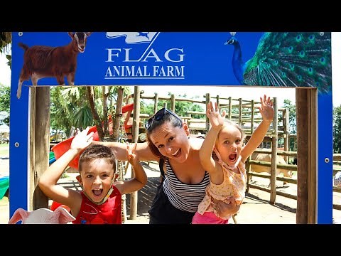 FLAG ANIMAL FARM l Salt Rock l Ballito l Kids Activity l South African YouTubers l Dec 2021