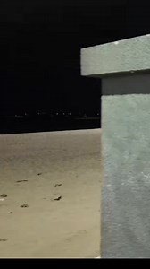 Beautiful girls 💋 beach road 🏖️ pattaya ♥️ and LADY BOY 🌹🌹 Thailand 🤪 | Thai Nightlife