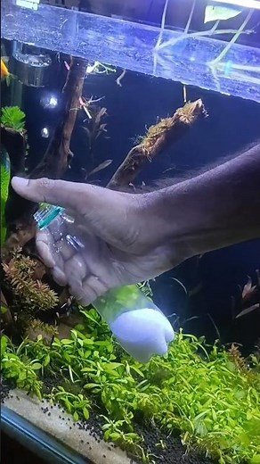 How to add sand in your aquarium?