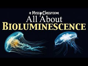 Into the Abyss Bioluminescence Glowing Secrets in the Sea | Bioluminescent Ocean Animals That Shine