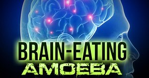 Inyo County Health Officials Warn Of Brain Eating Amoeba