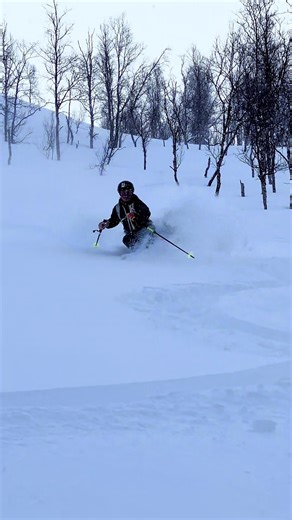 I could use some of this #skiing #freeride #powder #backcountry