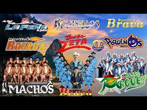 Bandas Viejitas Pero Bonitas Movidas 90s - Banda Machos, El Recodo, Cuisillos, La Arrolladora