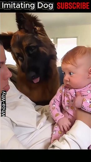 Dogs Who Think They're Human! 😂🐕 #dogs #dogvideos #pets