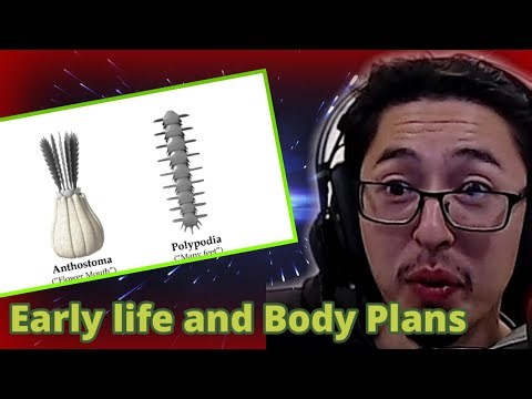 Reacting to Alien Biospheres: Part 2 - Early life and Body Plans | planet crafting Reaction