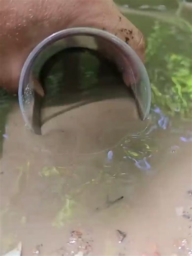 Step-by-Step Water Filtration Process Explained