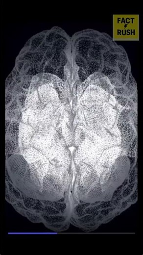 Your Brain Is Eating Itself Right Now 😳 Mind Blowing Human Body Fact #shorts #shorts