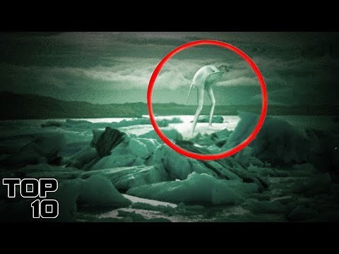 Top 10 Weirdest Things Found In Alaska
