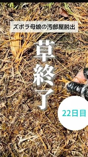 大嫌いな草取りから卒業✨ お金も時間も除草剤も使わずに1番楽チンな草取り実験したよ‼️ #ズボラ #片付け #草取り#除草