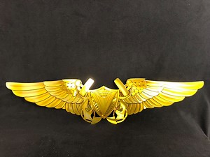 31 reactions | USMC MOS-7315 Unmanned Aircraft System (UAS) Officer wing artwork! Artist: Aaron Bialaszewski www.MilitaryMetalArt.com | Military Metal Art | Facebook