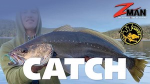 Over 70 articles showing you how to catch more of your favourite saltwater species. | Tackle Tactics