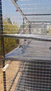 1.5M views · 12K reactions | 120 Poultry layers cages for k6250 | Lilayi Import and Agro Consultants | Facebook