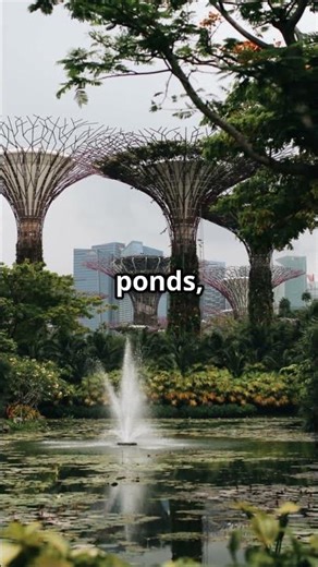 A Quiet Walk in the Gardens of Singapore | Urban Nature Escape