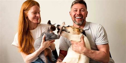 Dog people & cat people usually have 4 significant personality differences, according to research