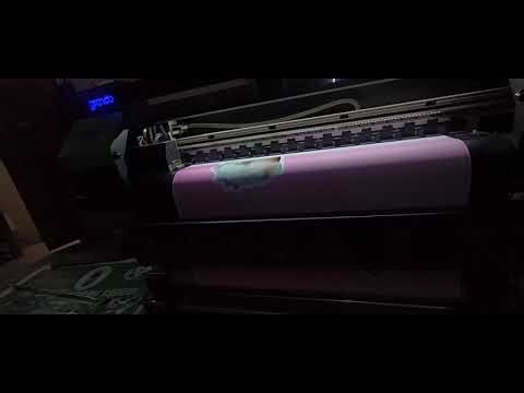 Grando Epson company registration code printed Epson digital vinyl machine vinyl printing sticker