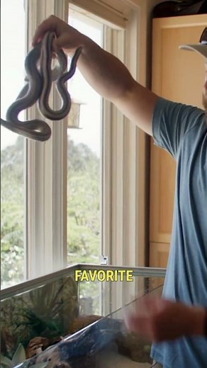 Forrest Galante Home Zoo Tour