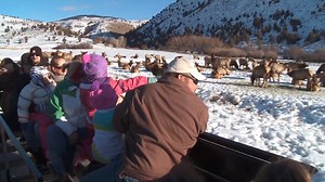 The elk-viewing season at Hardware Ranch kicks off in only two months! These sleigh rides have become a wintertime tradition for many Utah families. Have you visited the ranch in Hyrum? | Utah Division of Wildlife Resources