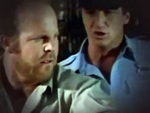 In the Heat of the Night (Season 2) TV Series