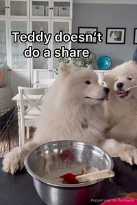 148K views · 10K reactions | It's Karen's birthday today and we...