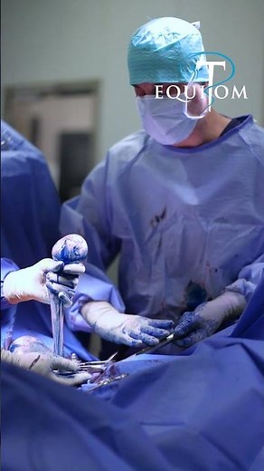 Une technique de castration zéro complication à Equitom Namur !