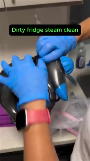 Essential Steam Cleaning Tips for Your Kitchen