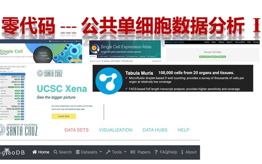 零代码单公共单细胞数据分析 I