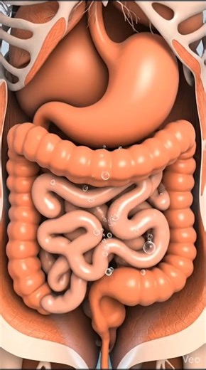What Causes Gas & Bloating Inside Your Body | 3D Medical Animation
