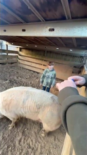 doing some pig riding