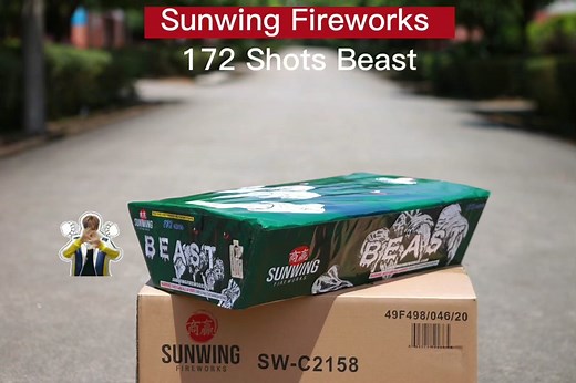 Sunwing fireworks 172 shots zipper cake “Beast “ . #sunwing #fireworks #sunwingfireworks #zippercake #halloween #beast #4thofjuly #zipper
