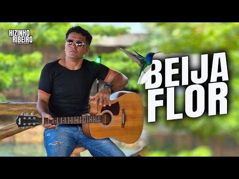 BEIJA FLOR (Música inédita ) HIZINHO RIBEIRO // COMPOSITOR