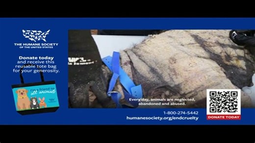 Humane Society of the United States TV Spot, 'Our Mission'