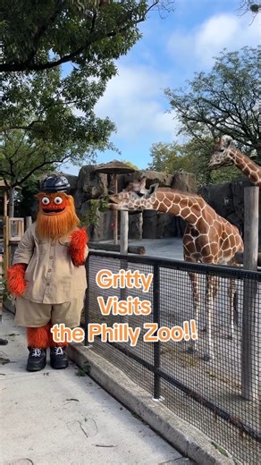 when the philadelphia zoo congratulates the flyers before the basketball team that shares a building with them 😭 josh harris you fucking suck