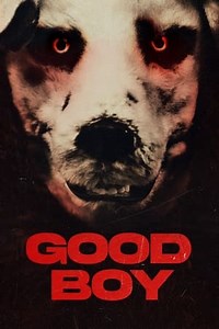 Watch And Download Movie Video Good Boy 2024 For Free!