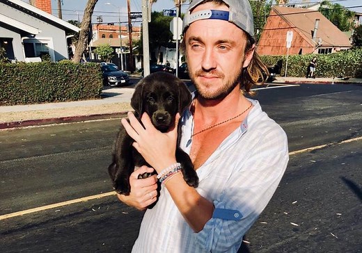 Harry Potter Star Tom Felton’s Family: Girlfriend, Brothers, Parents - BHW
