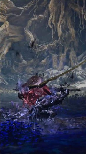 Artorias invaded Malenia #eldenring