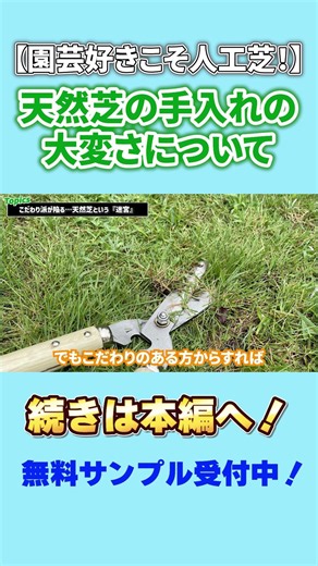 Artificial Turf is for Gardening Lovers! | The "Ideal Garden" That Natural Grass Enthusiasts Even...